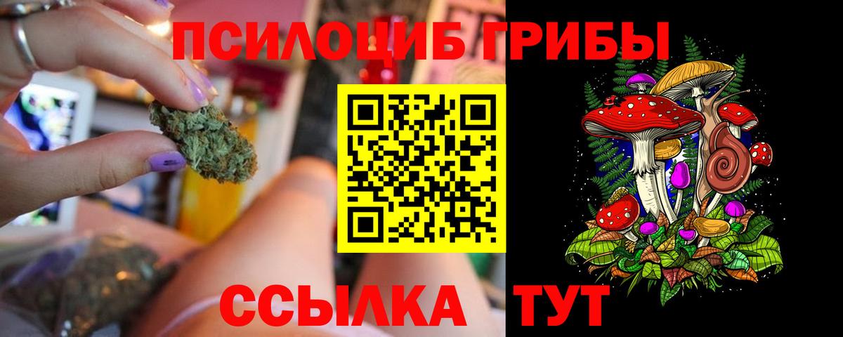 Галлюциногенные грибы Magic Shrooms  Галлюциногенные грибы прущие грибы  Заводоуковск  Вход с VPN 
